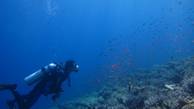 Sumérjase en la naturaleza 